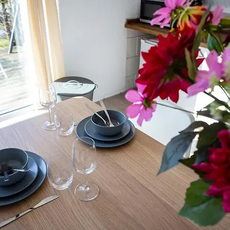 Tatil Evi Springtij, Sandepark 147 *